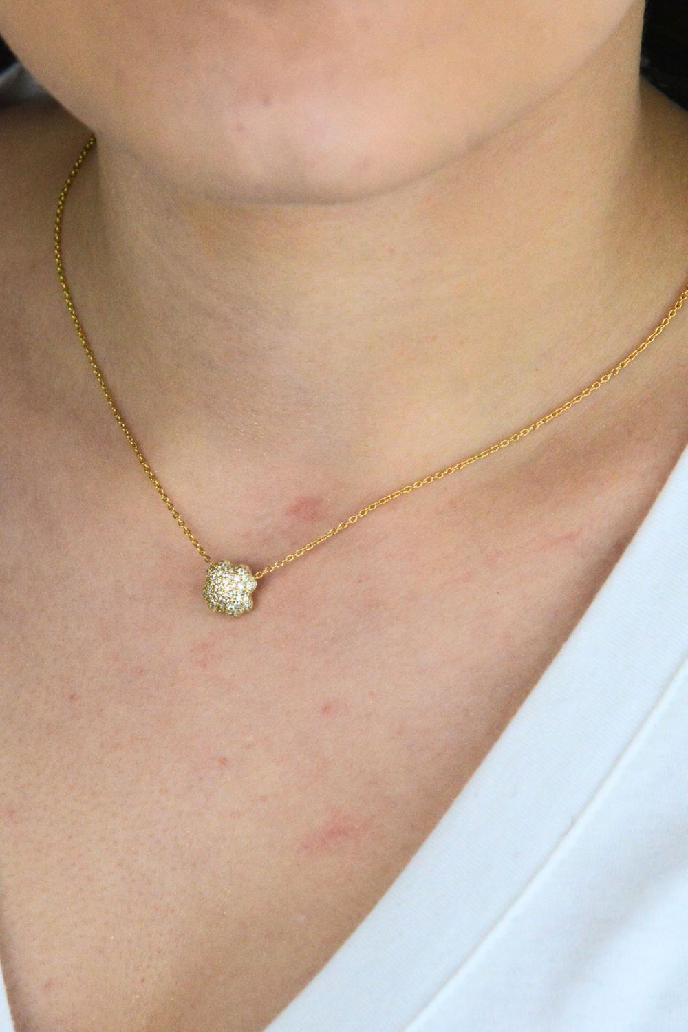 Naszyjnik Nomination LifePoetry z wypukłą koniczynkąg (3).jpg